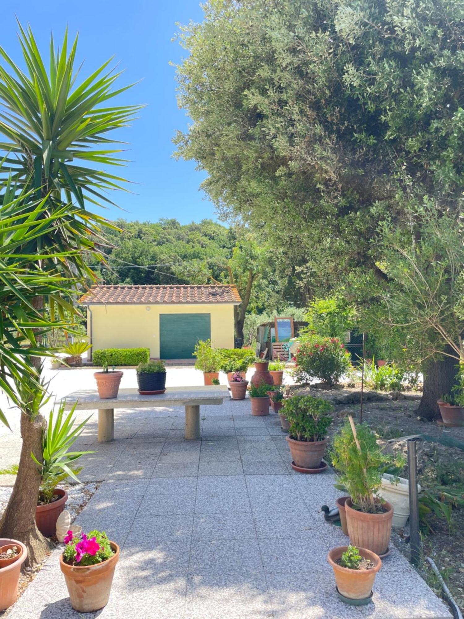 Il Leccio Agriturismo Fiorino Exterior foto