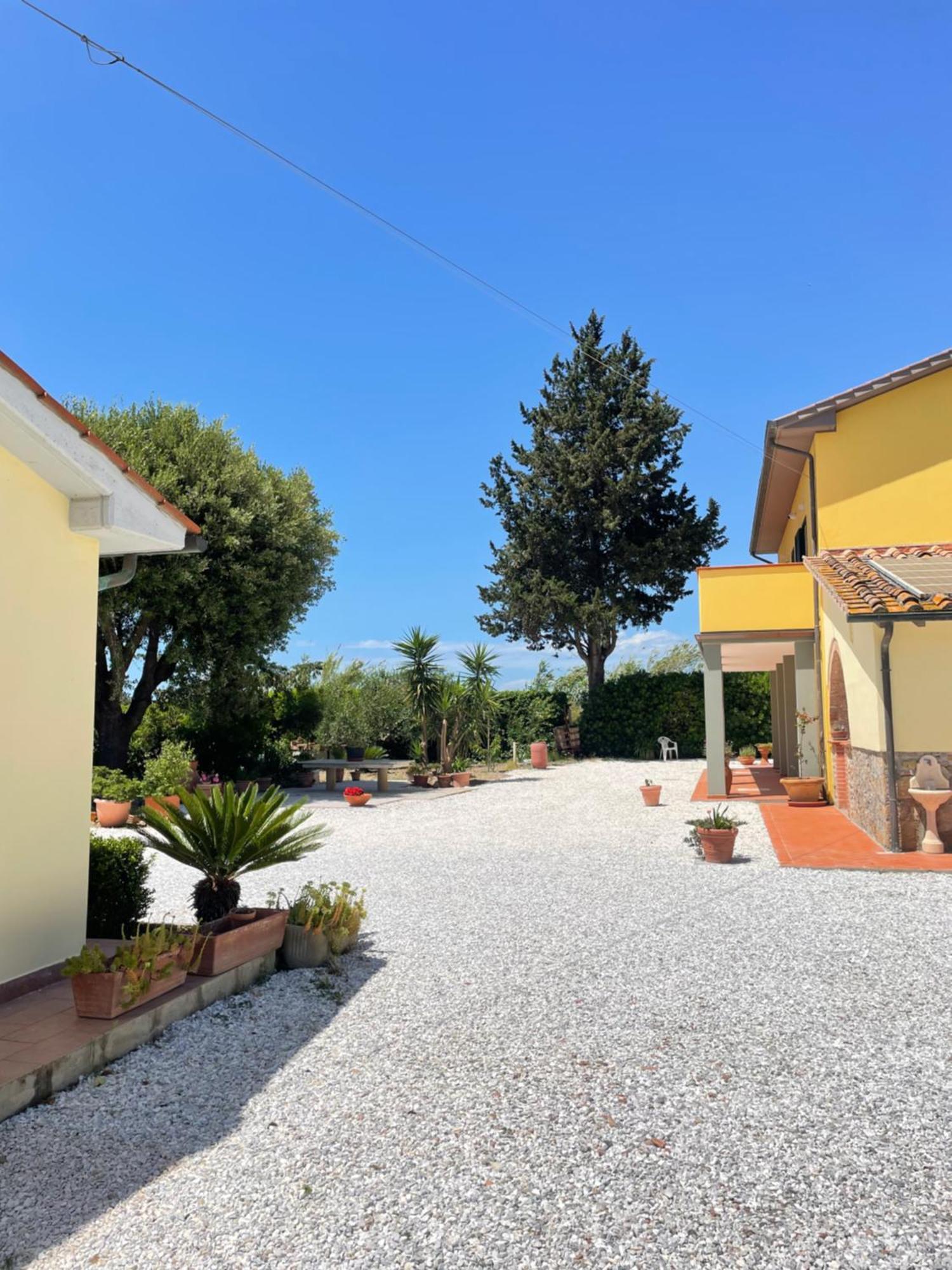 Il Leccio Agriturismo Fiorino Exterior foto